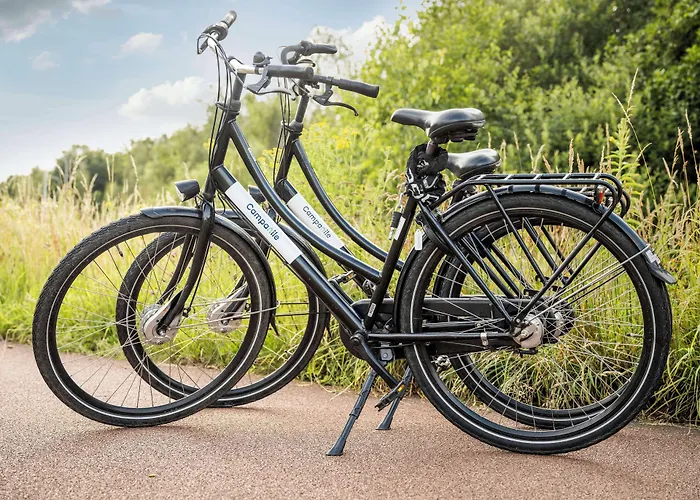 Hotel Campanile & Restaurant 2*